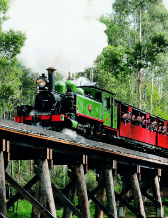 PuffingBillyDandenongMountainsTour PuffingBillyDandenongMountainsTour